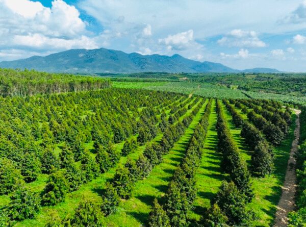 CHỈ CẦN GIỚI THIỆU, BẠN CÓ NGHỀ CHO ĐÀO TẠO VÀ THƯỞNG ĐẾN 700.000 ĐỒNG MỖI ỨNG VIÊN!