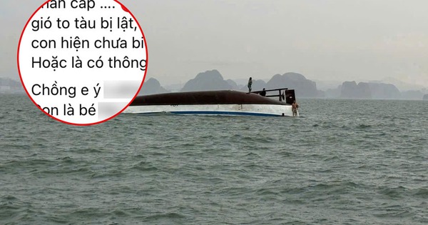 ÔNG GIA ĐÌNH CHUYỂN ĐỘNG TỪ CÔ TÔ ĐẾN HẠ LONG, BẤT NGỜ GẶP NGUY NAN KHÓ LƯỜNG