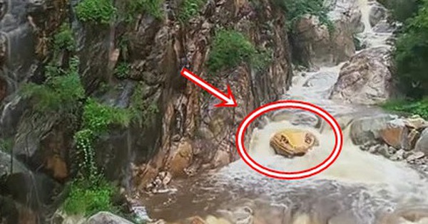 KHỦNG KHIẾP: TRĂN KHỔNG LỒ GẦN SUỐI Ở HÀ NAM GẬP GỒN DÂY CỘNG ĐỒNG MẠNG TRẢI NGHIỆM SUỐT ĐÊM!