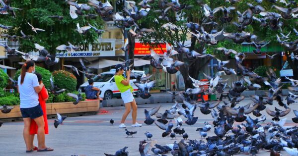 KHÁC BIỆT KINH NGẠC: ĐƯỜNG PHỐ TPHCM TRONG NGÀY NGHỈ LỄ 2.9 RỘNG RÃI KHÔNG NGƯỜI, XE!