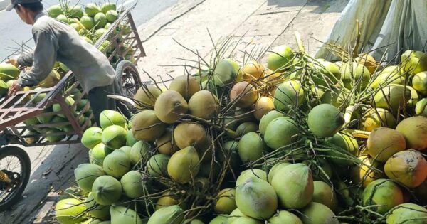 SAU GẦN 6 THÁNG TRƯỜNG PHÁI CHẬM TIẾP, NGÀNH RAU QUẢ BẤT NGỜ “BÙ ĐÁP” VỚI MỐC GẠCH KHÁNG 8 TỶ USD?