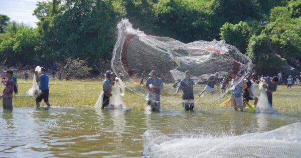 KHI THỦY ĐIỆN TRỊ AN ĐÓNG CỬA, CẢ TRĂM NGƯỜI ĐỔ XA TẮN BẮT CÁ HÀNG LOẠT ĐỘC ĐÁO!