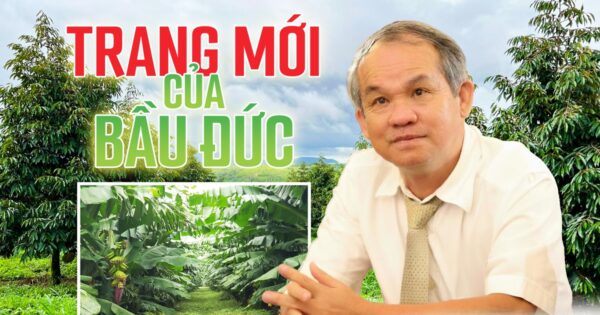 BÀU ĐỨC VƯƠN TẦM MỚI SAU NHỮNG THÁCH THÁCH CÙNG HOÀNG ANH GIA LAI, ĐÍCH THỰC ĐÃ TỪNG CẢM NHẬN?